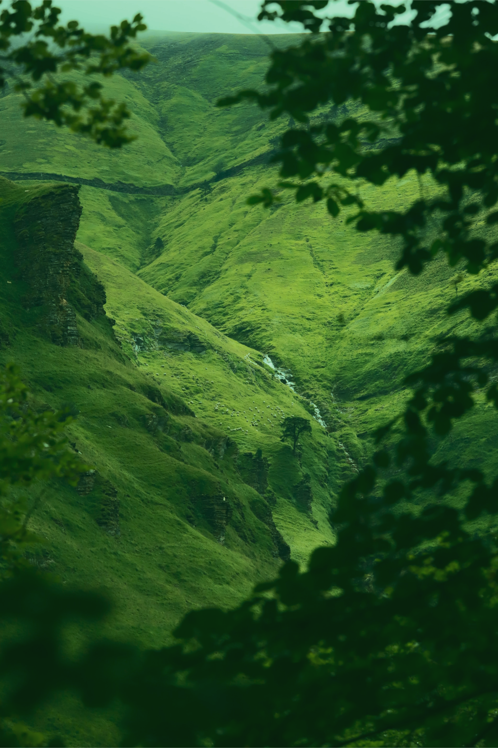 imagen de montañas con un río