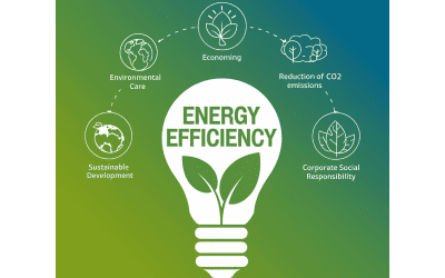 CTLpack VITORIA mejora la eficiencia energética de su proceso productivo